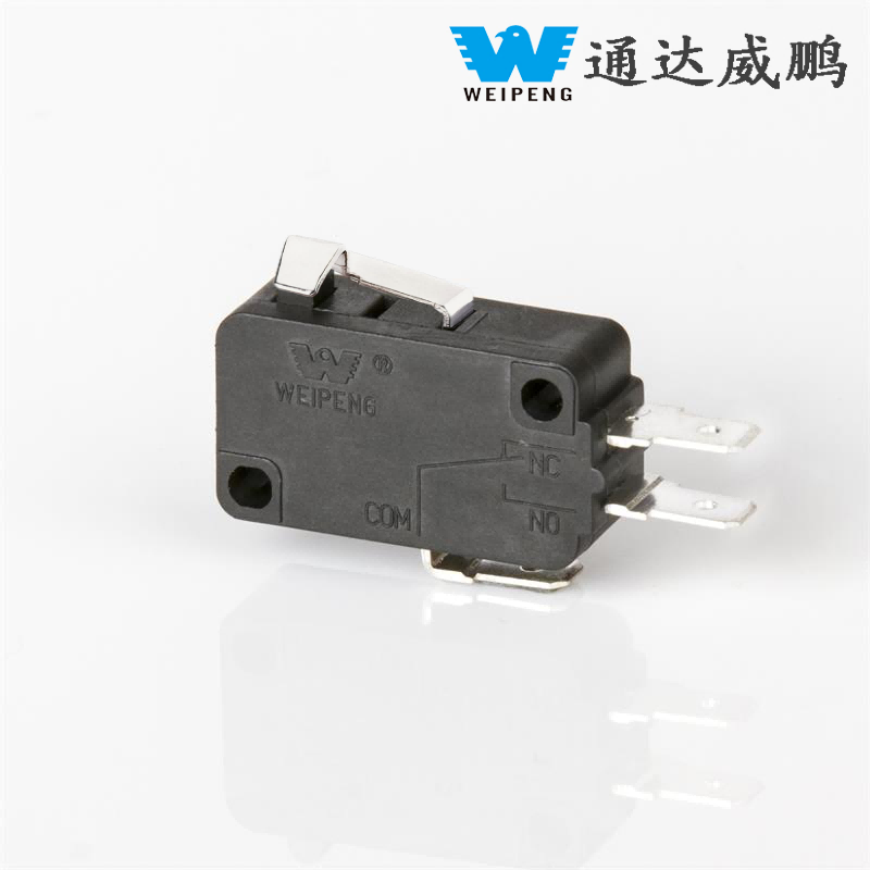 Microinterruptor grande 16A/21A com alça de três pinos