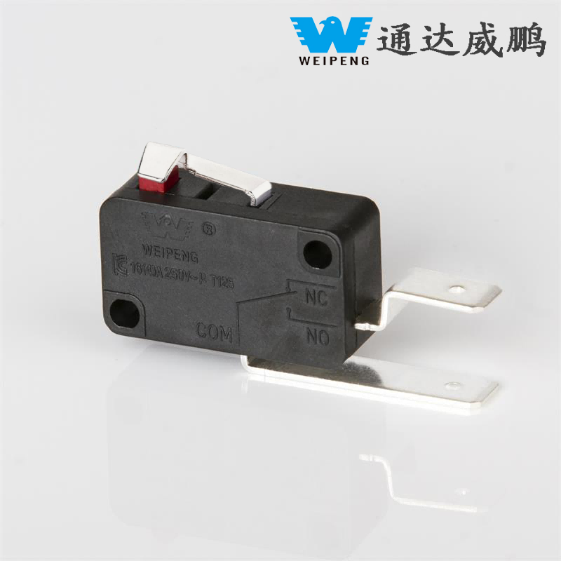16A Pino de Ferro / Pino de Cobre Micro Switch Acessórios para eletrodomésticos