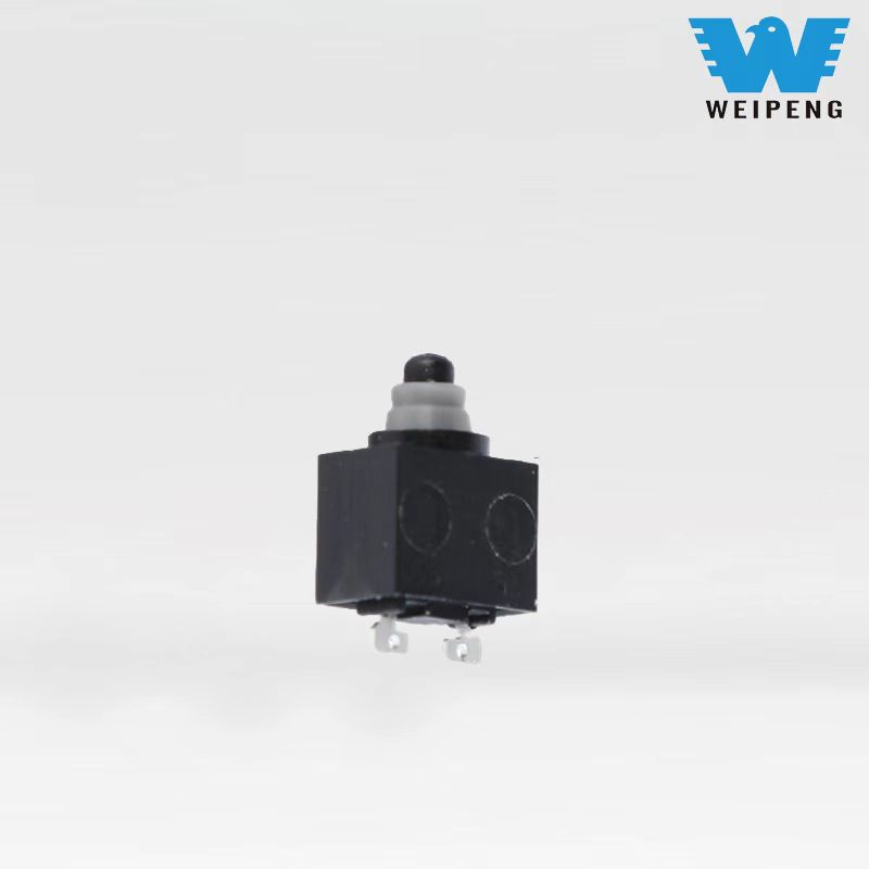 Micro interruptor à prova d'água de duas pernas